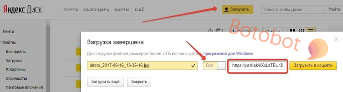 Выгрузка картинок в файл