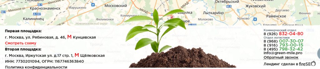 Анимация на сайте