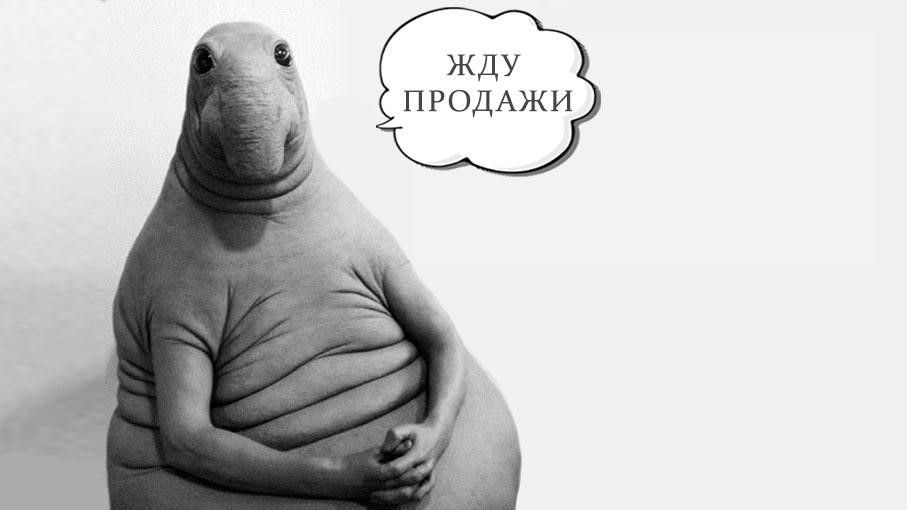 Почему контекстная реклама не работает