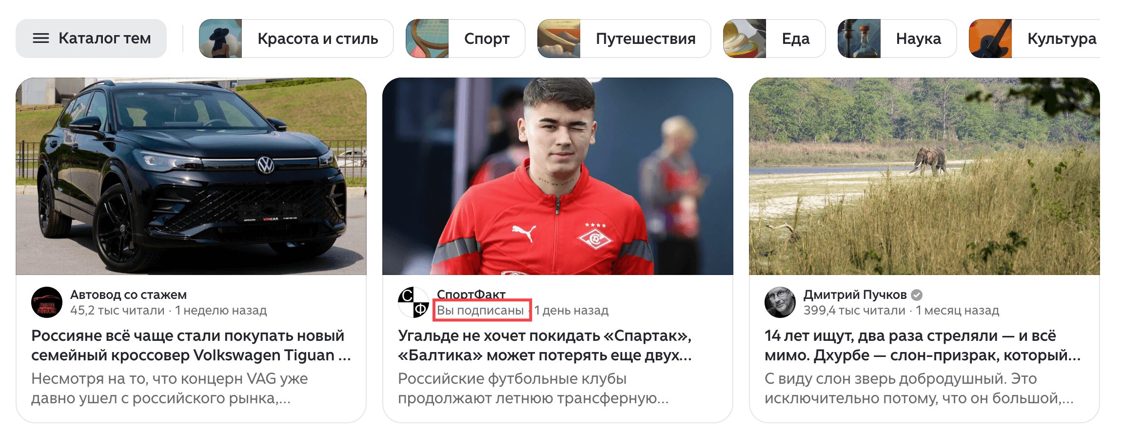 лента Дзен